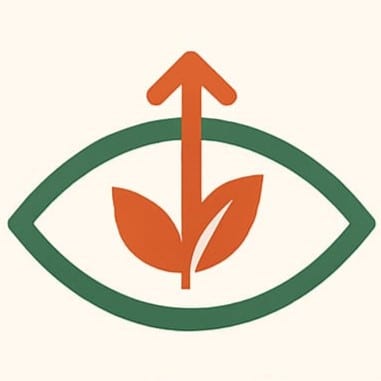 JungVision Coaching & Consulting